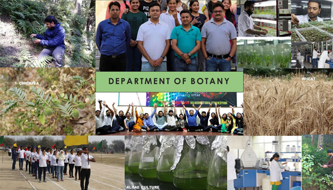 department of botany