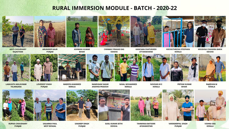 RURAL IMMERSION MODULE - BATCH 2020