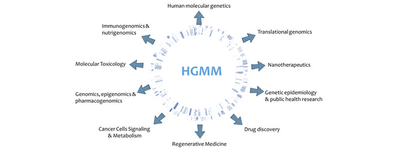 HGMM Research Thrust Area