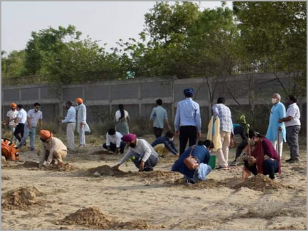 प्लांटेशन ड्राइव