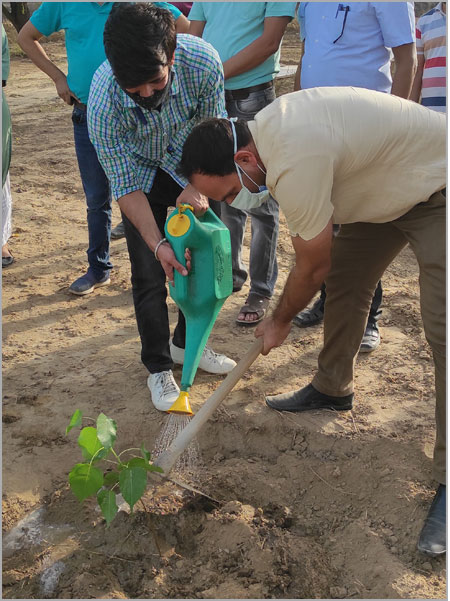 प्लांटेशन ड्राइव