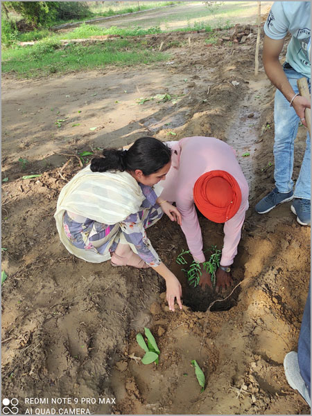 प्लांटेशन ड्राइव