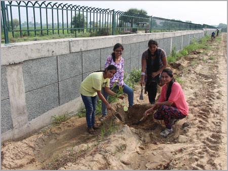 प्लांटेशन ड्राइव