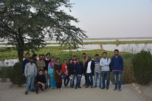 Visit to Harike Wetland