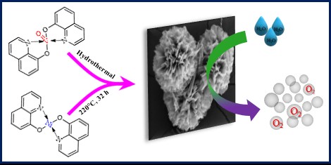 Biswas et al. 2020, New J. Chem, 44, 12256-12265