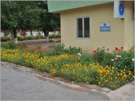 Landscaping Old Campus