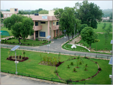 Landscaping Old Campus