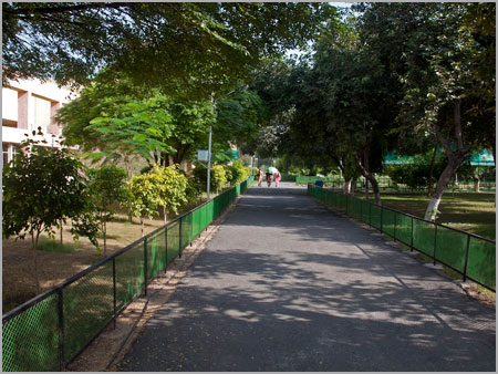 Landscaping Old Campus