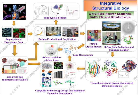 Saraboji Lab Research 